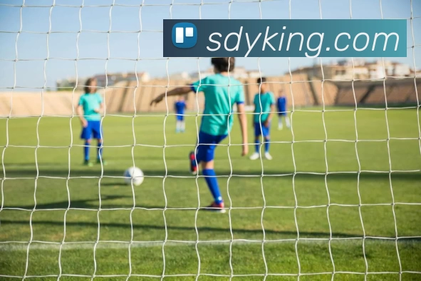 昇得源体育官网平台生态图