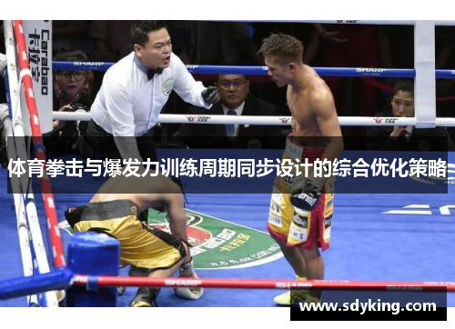 体育拳击与爆发力训练周期同步设计的综合优化策略